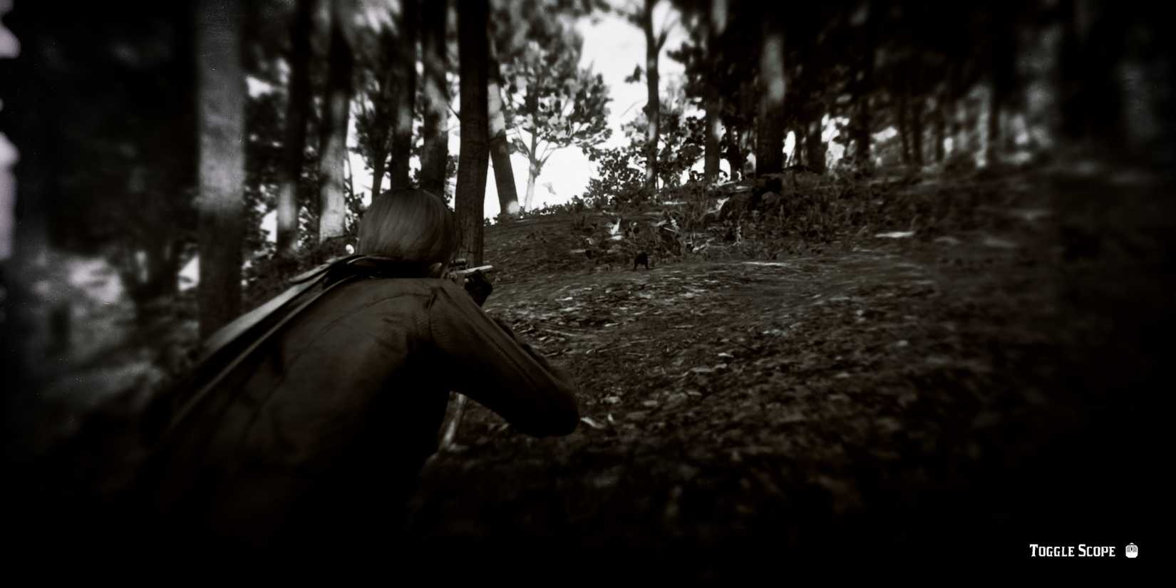 Red Dead Redemption 2 - Aiming At Squirrel