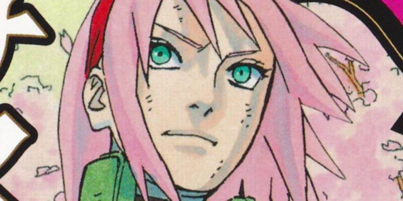 picture: sakura in sakura hiden book.