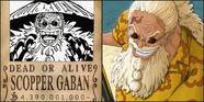 One Piece High Bounty