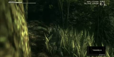 snake exploring jungle