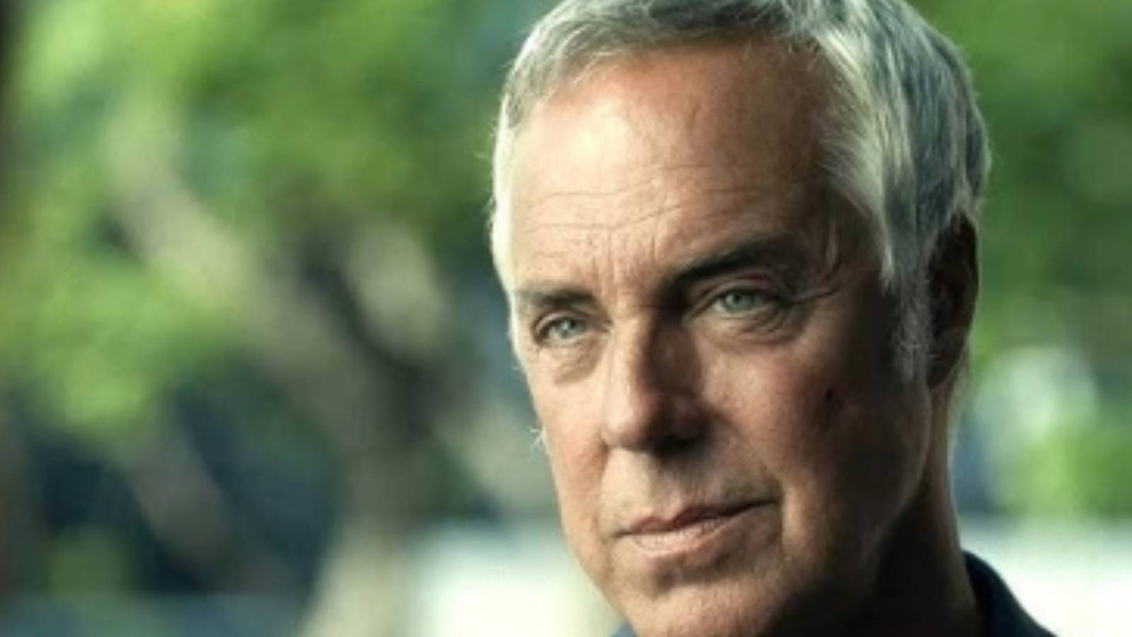 Harry bosch in season 3