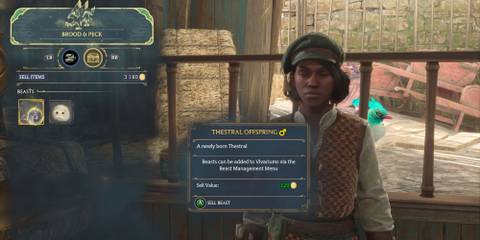 Selling Beasts at Brood and Peck in Hogwarts Legacy
