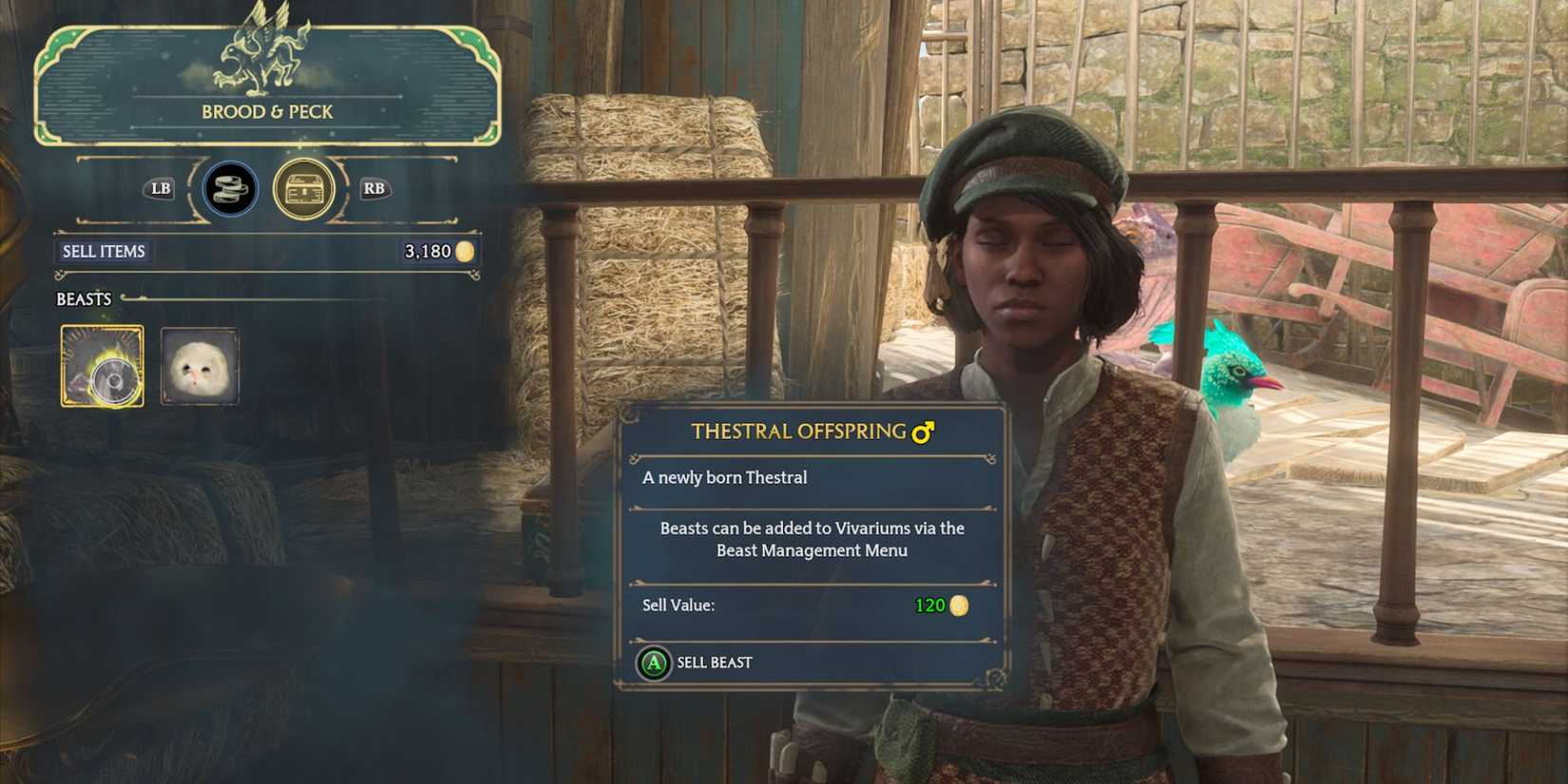 Selling Beasts at Brood and Peck in Hogwarts Legacy