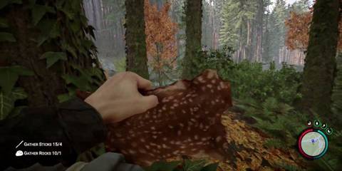 Player holding animal hide in dense forest