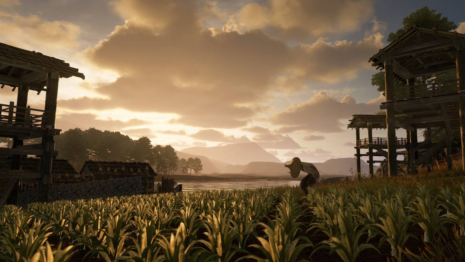 sengoku dynasty receives new update