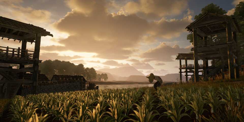 sengoku dynasty receives new update