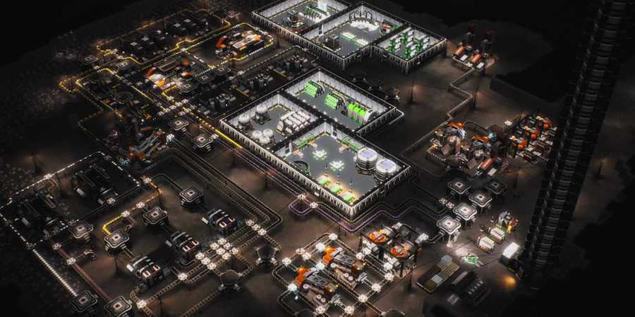 The Crust: Beginners Tips