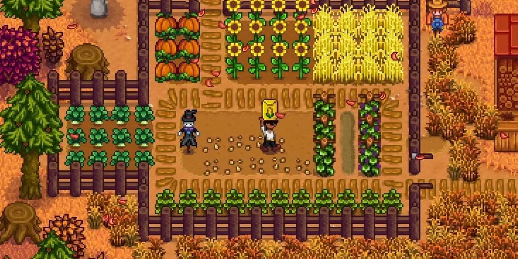 stardew valley secret perfect time