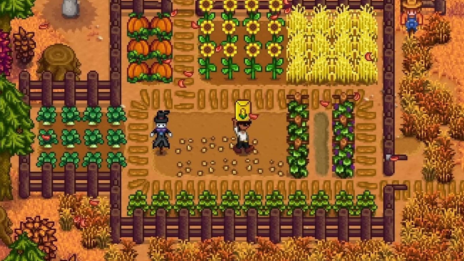 stardew valley secret perfect time