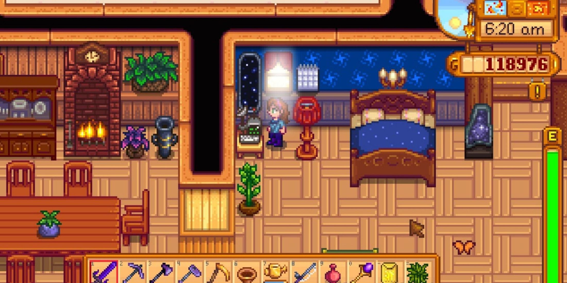 stardew valley house disappears glitch