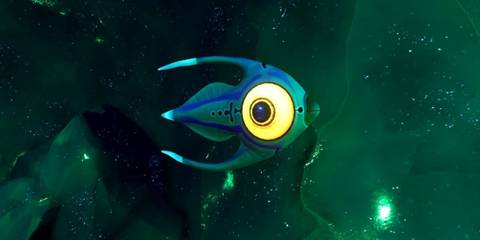 Arctic Peeper looking towards viewer in green tinted water