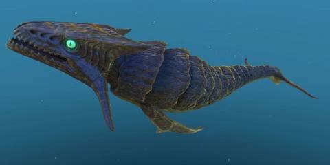 Boneshark swimming through open water