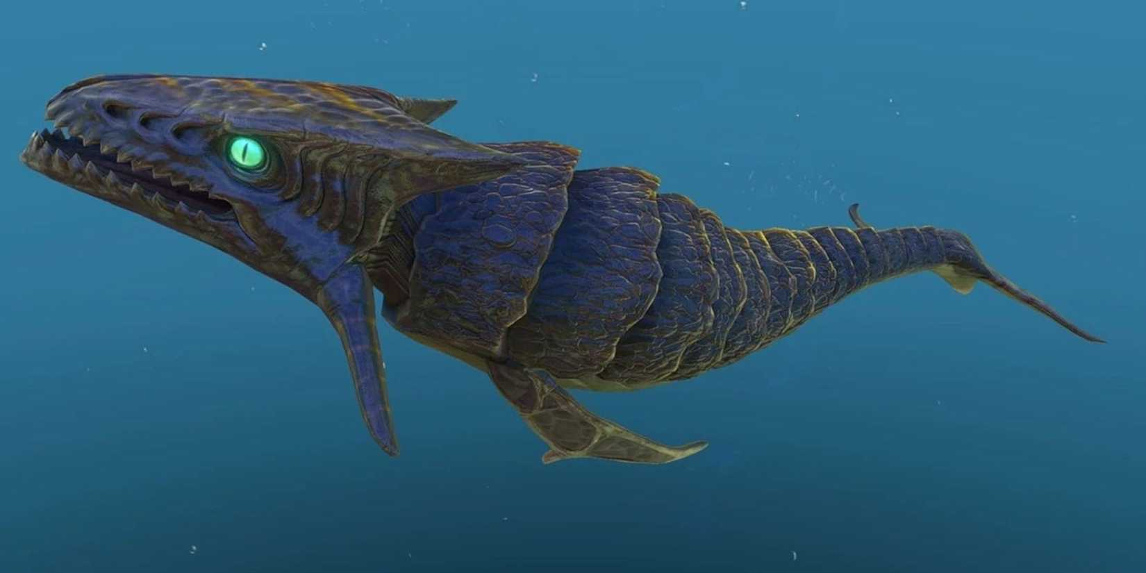 Boneshark swimming through open water