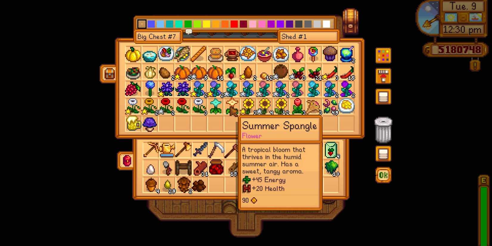 Summer Spangle Stardew Valley