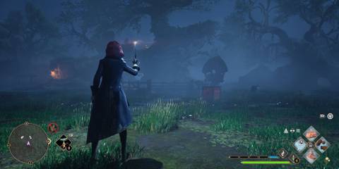 Swamp Vivarium in Hogwarts Legacy