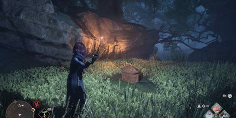 Swamp Vivarium small chest in Hogwarts Legacy