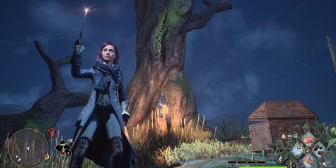 Swamp Vivarium small chest in Hogwarts Legacy