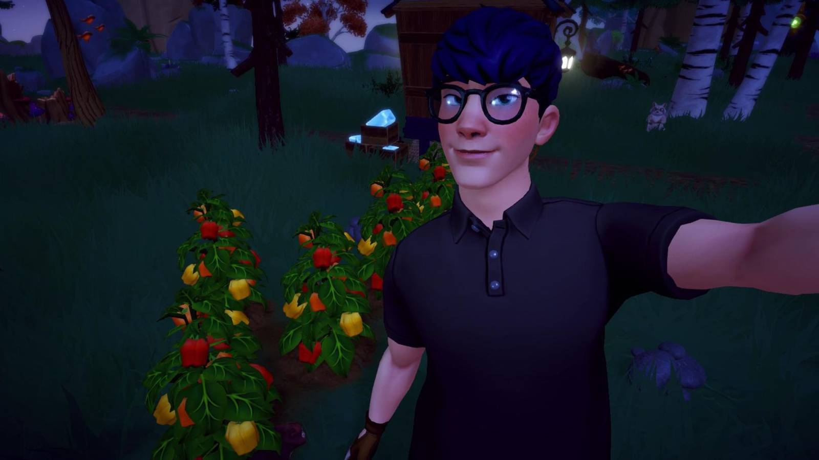 sweet, colorful peppers ddv