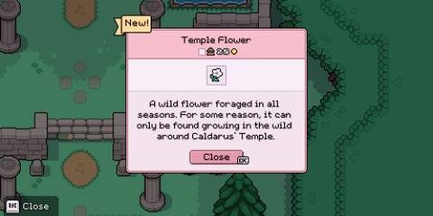 Temple Flower in Fields of Mistria's Deep Woods