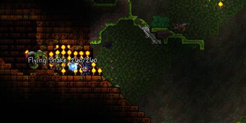 Terraria Dungeons 1