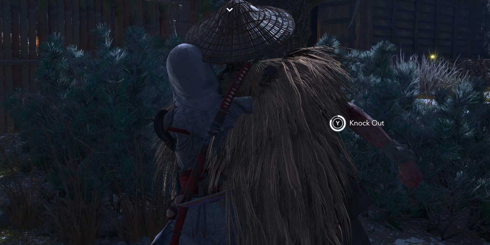 The Knock Out Affliction on Enemies AC Shadows