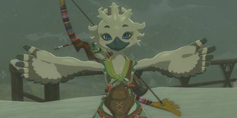 The Legend of Zelda Tears of the Kingdom Tulin