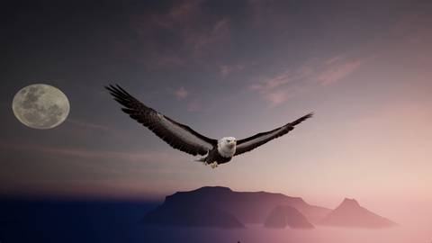 The Matchless Kungfu - official steam screenshot 3