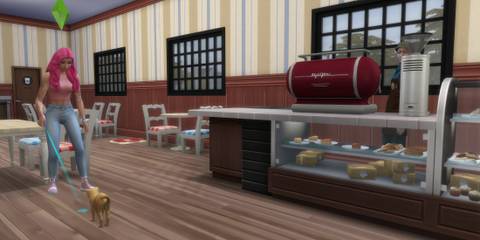 Cat Cafe small business idea