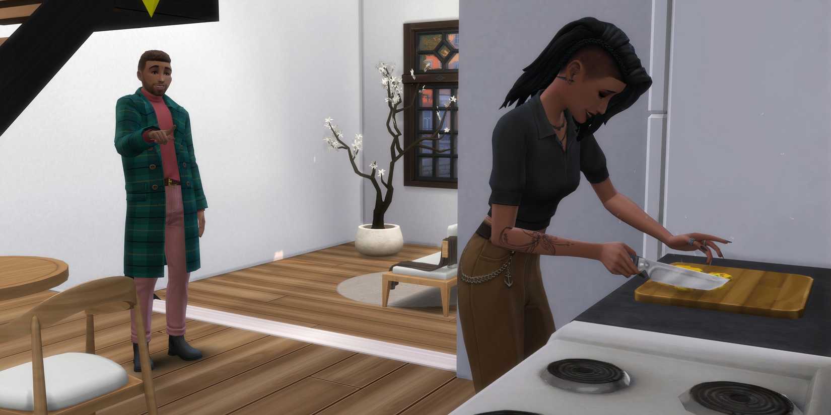 Master Mentor Aspiration - Master Mentor