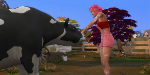 Petting Zoo small business idea