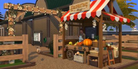 Petting Zoo small business idea