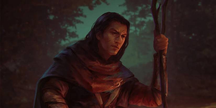 The Witcher - Insengrim Faoiltiarna