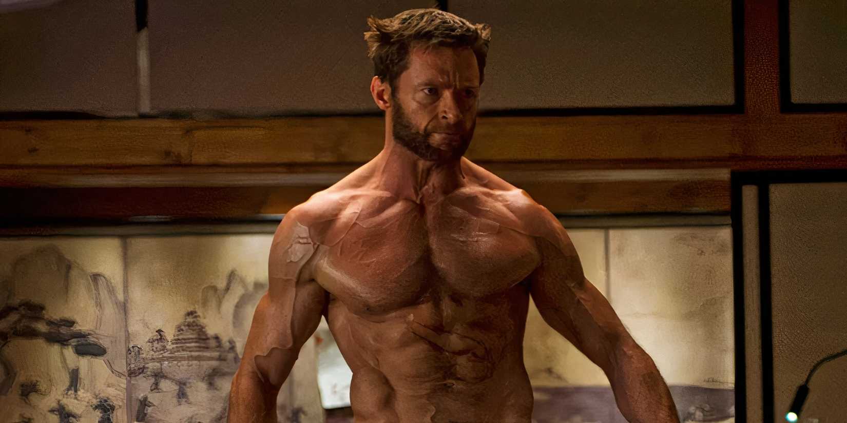 The Wolverine 2