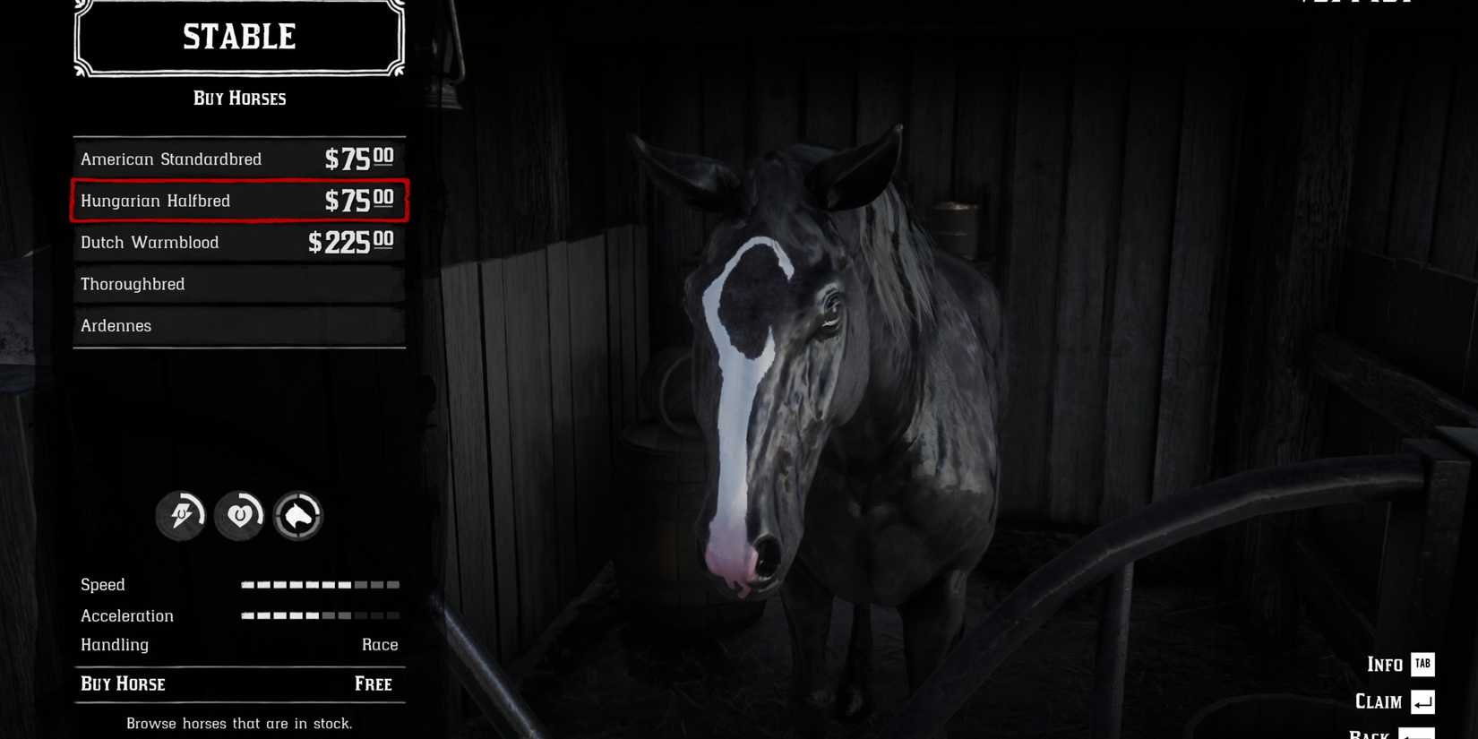 thoroughbred reverse dapple black