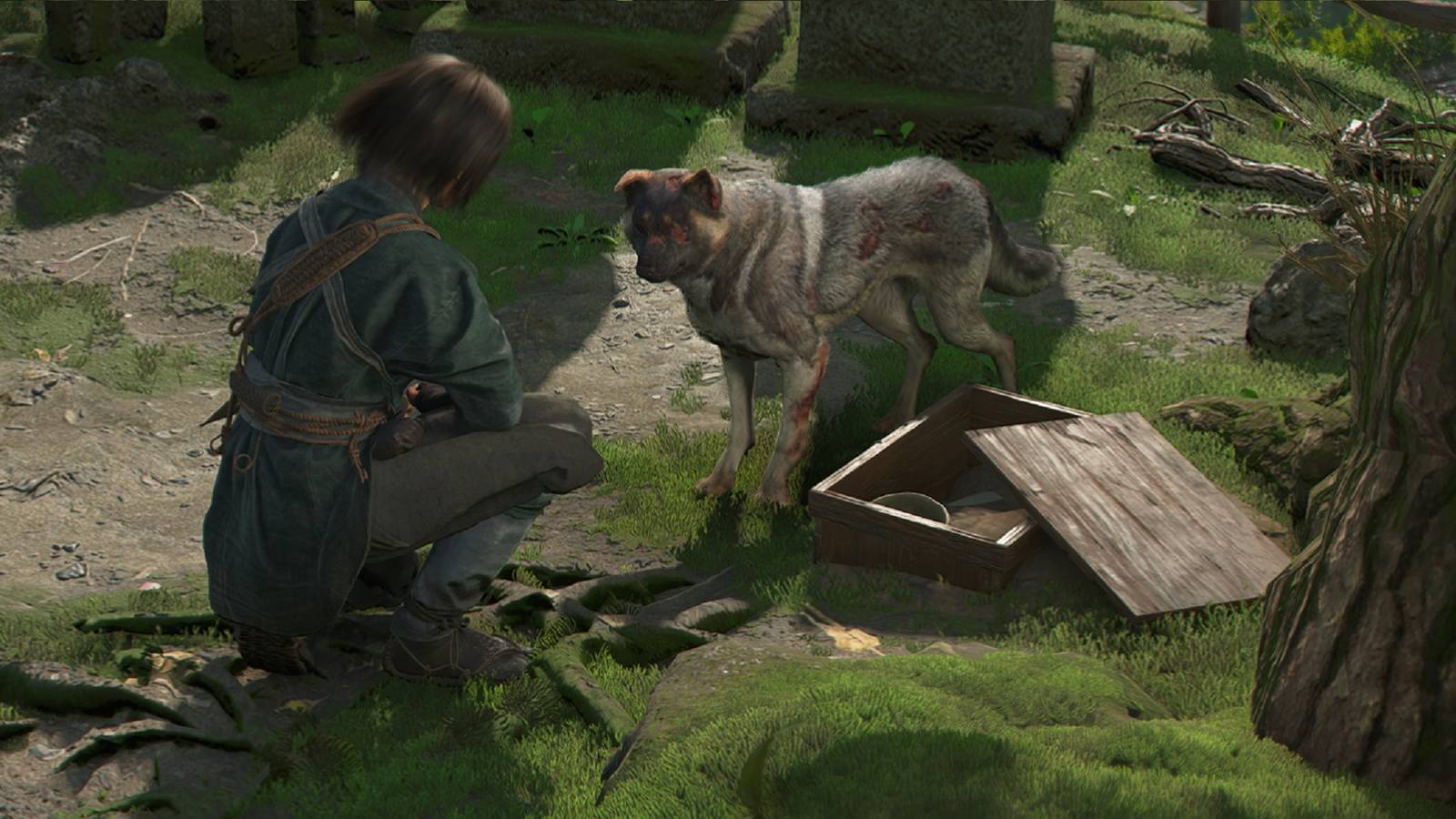 Thrown to the Dogs Bonus Mission Guide - Assassins Creed Shadows