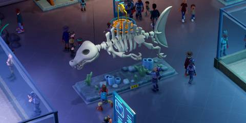 Two Point Museum Aquarium Exhibits Exterragator Skeleton