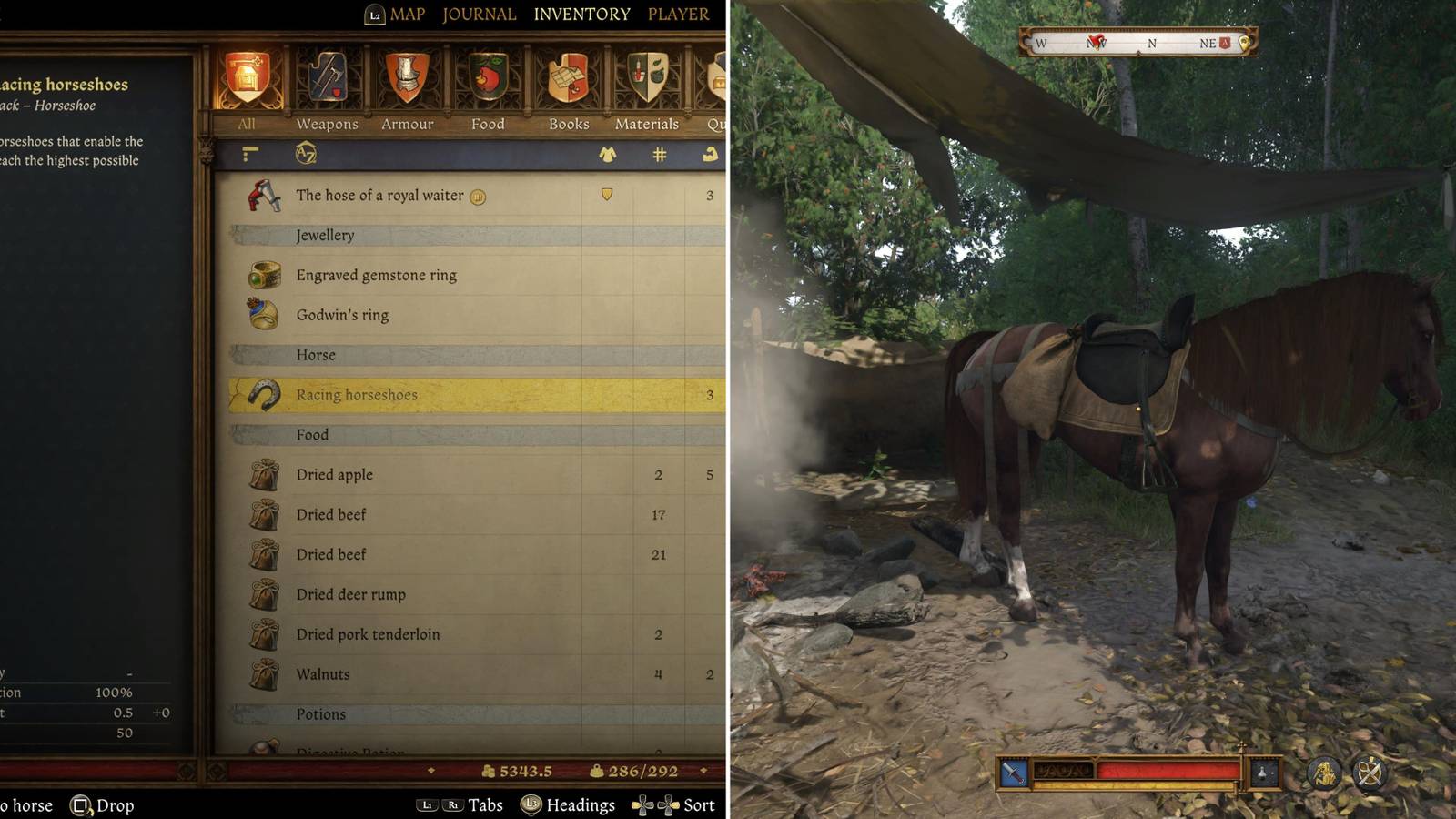 Racing Horseshoes In The Inventory & The Player Facing Their Horse 