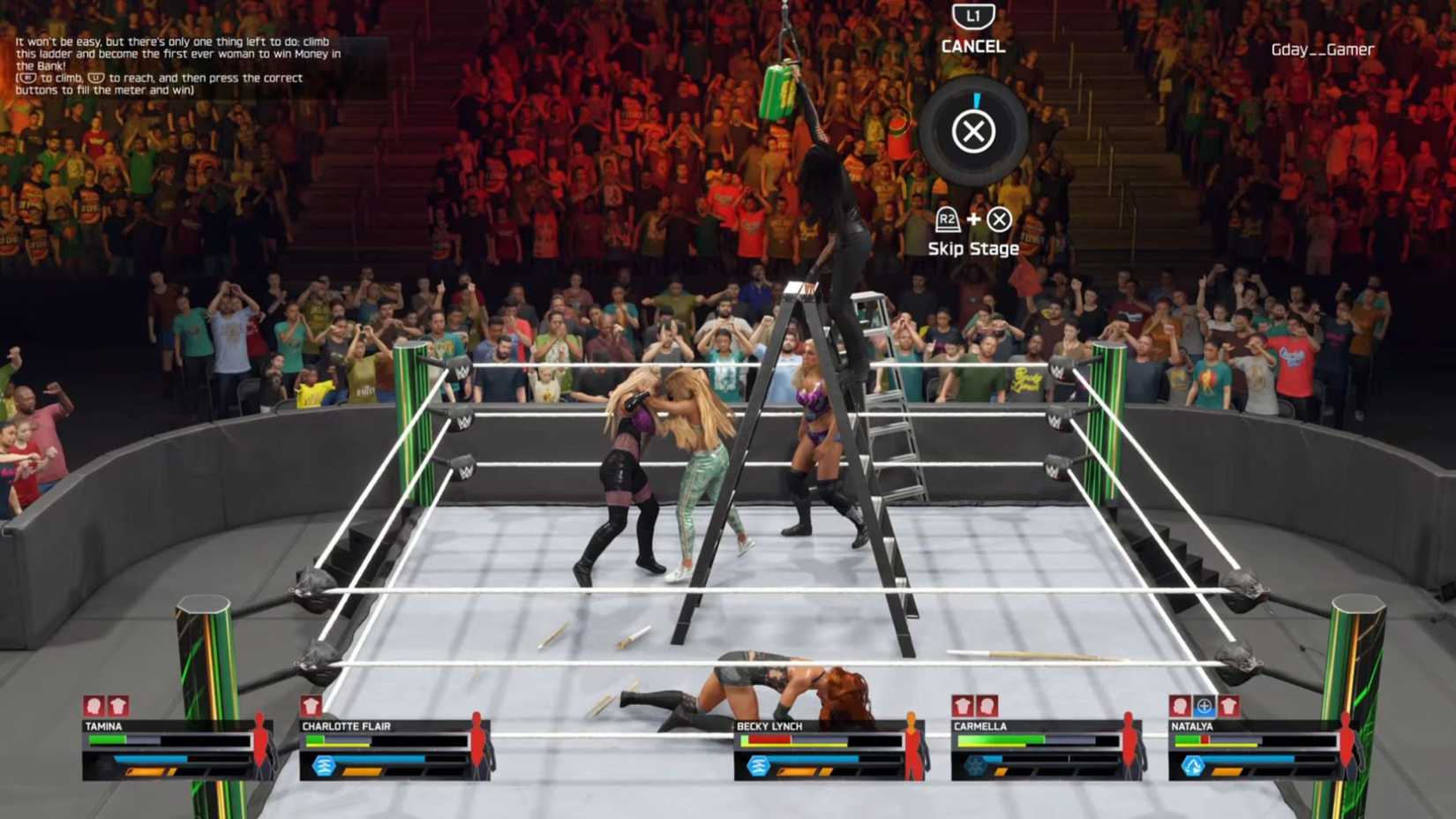 Tamina at the top of the ladder in WWE 2K25