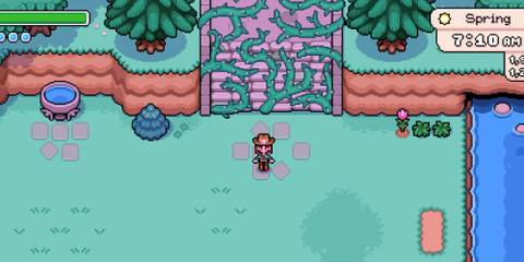 How to unlock The Deep Woods in Fields of Mistria