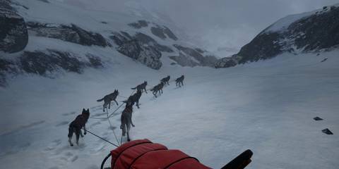 will follow the light snow dogs