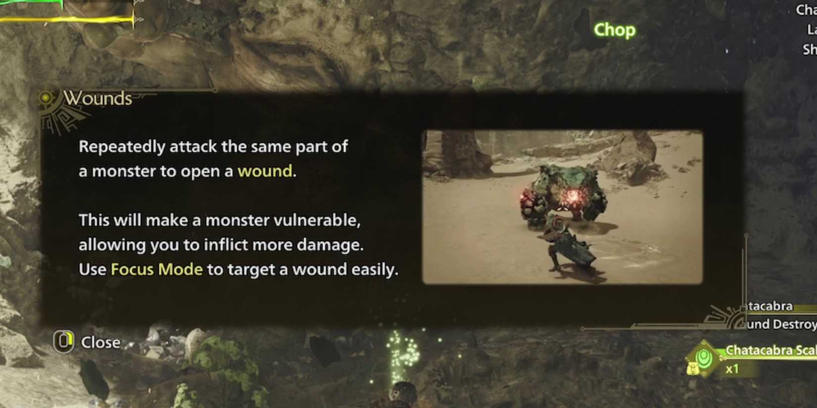 wound tooltip in monster hunter wilds