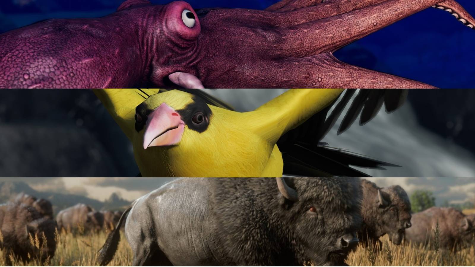 X Best Games for Nature Photographers Feature Image