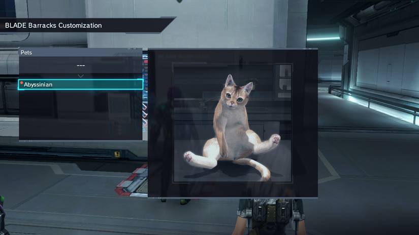 xenoblade chronicles x definitive edition how to get pets 3