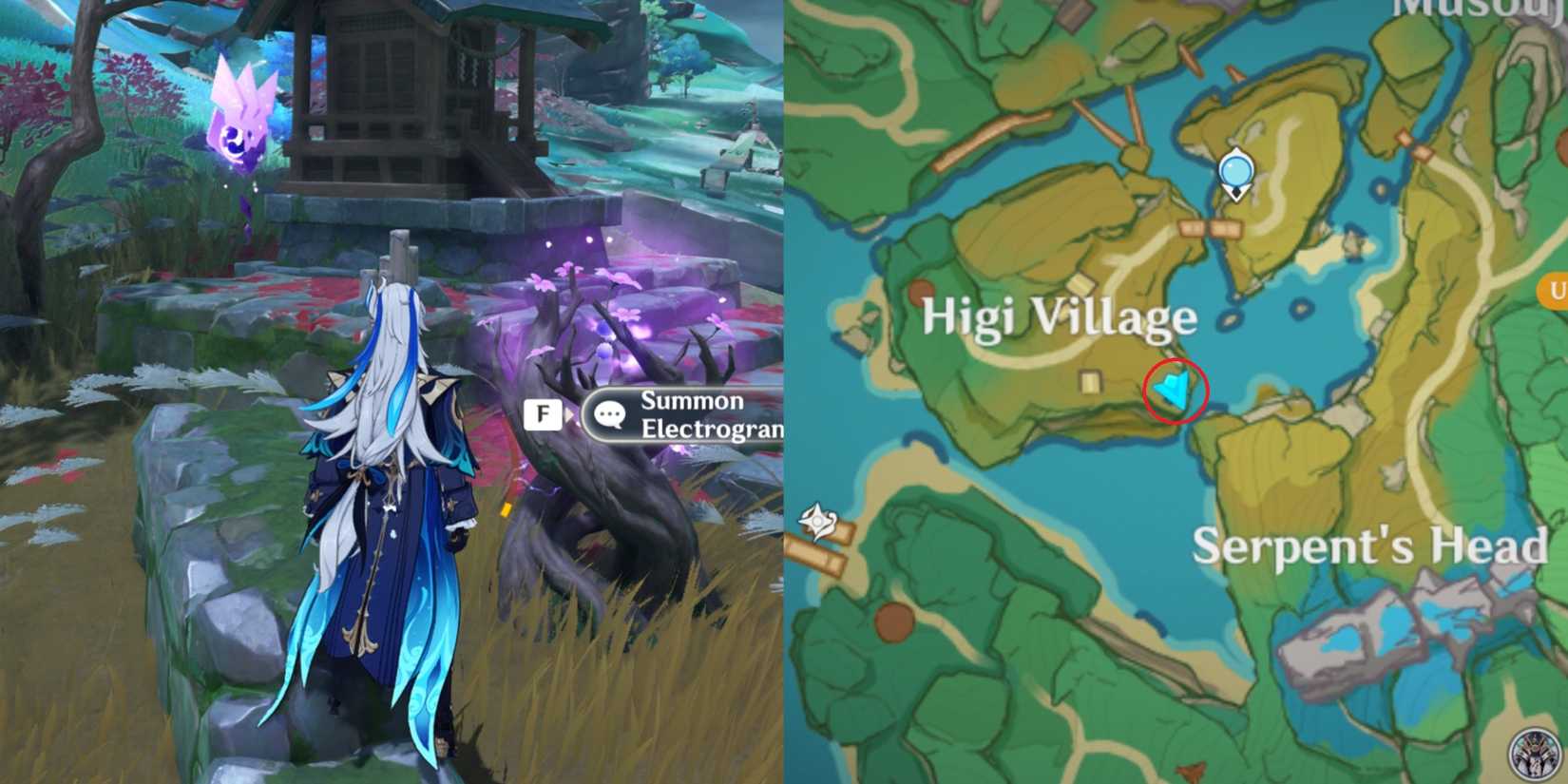 Yashiori Island Electroculus Location 22