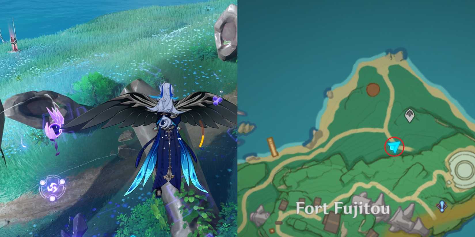 Yashiori Island Electroculus Location 26