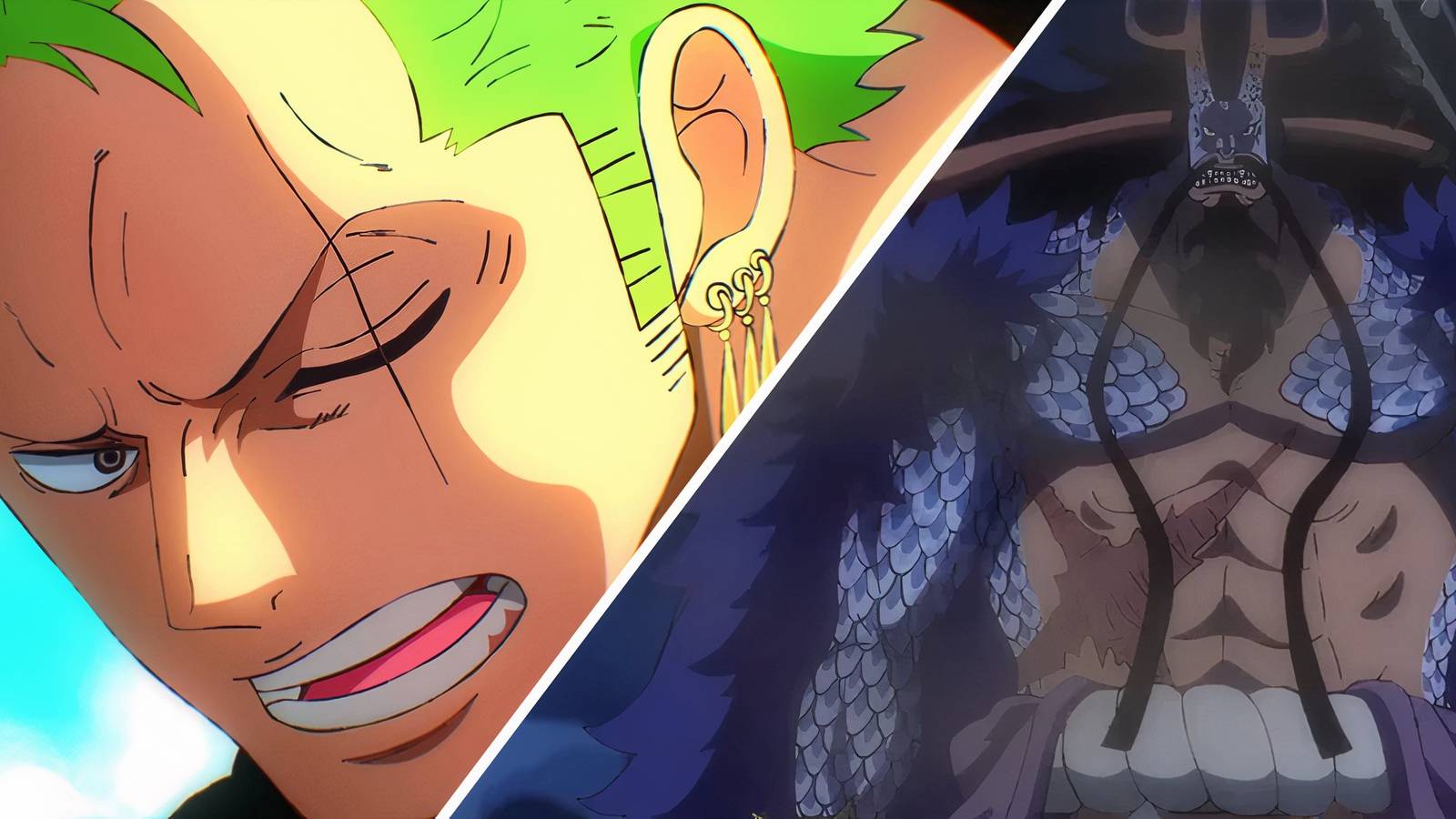 Zoro Kaido One Piece Devil Fruit