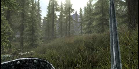 Skyrim Scenery Whilst Wielding a Sword and Shield