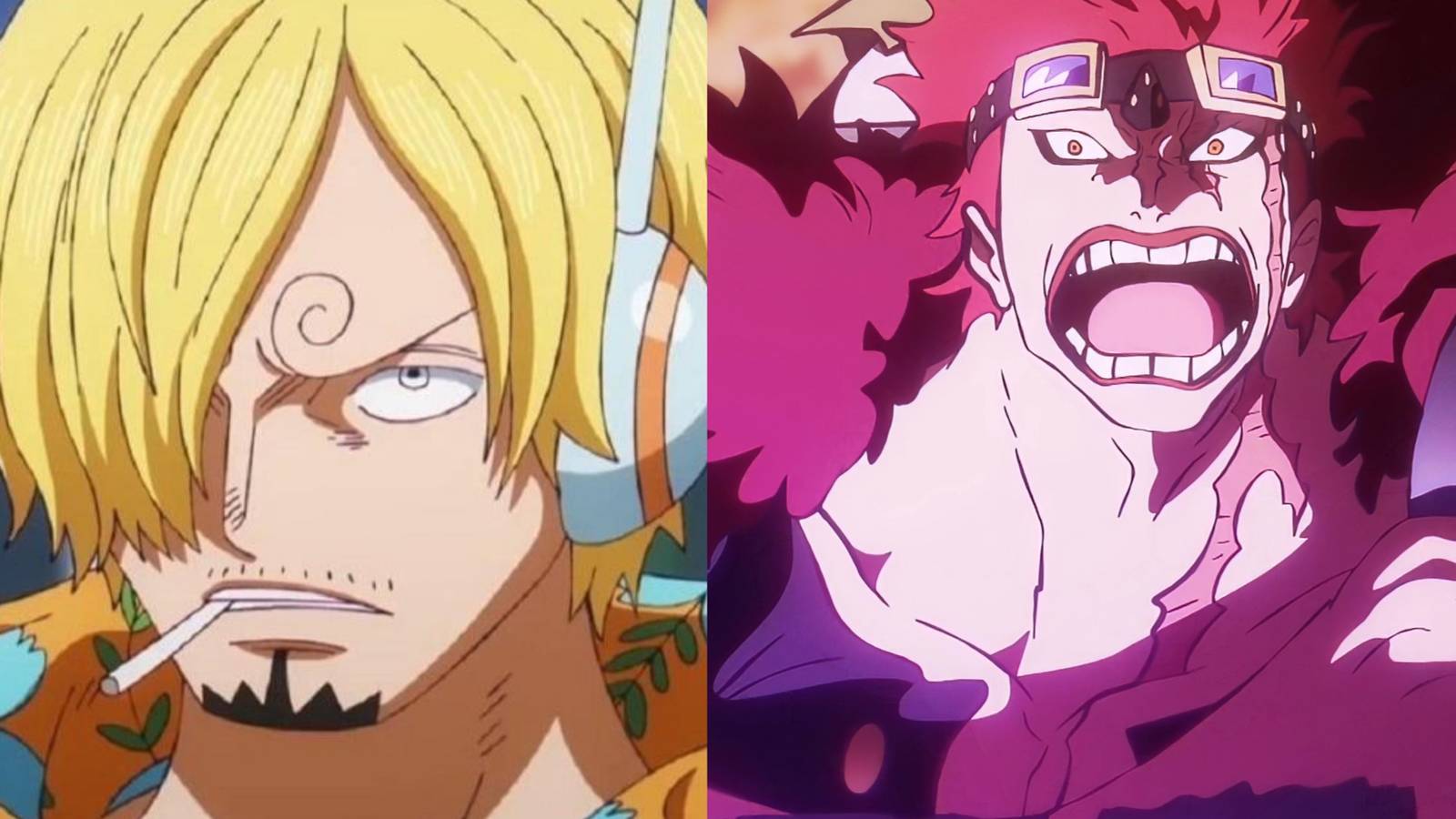 featured One Piece: The Other Victim Of Toei Animation's Additional Scenes sanji kid