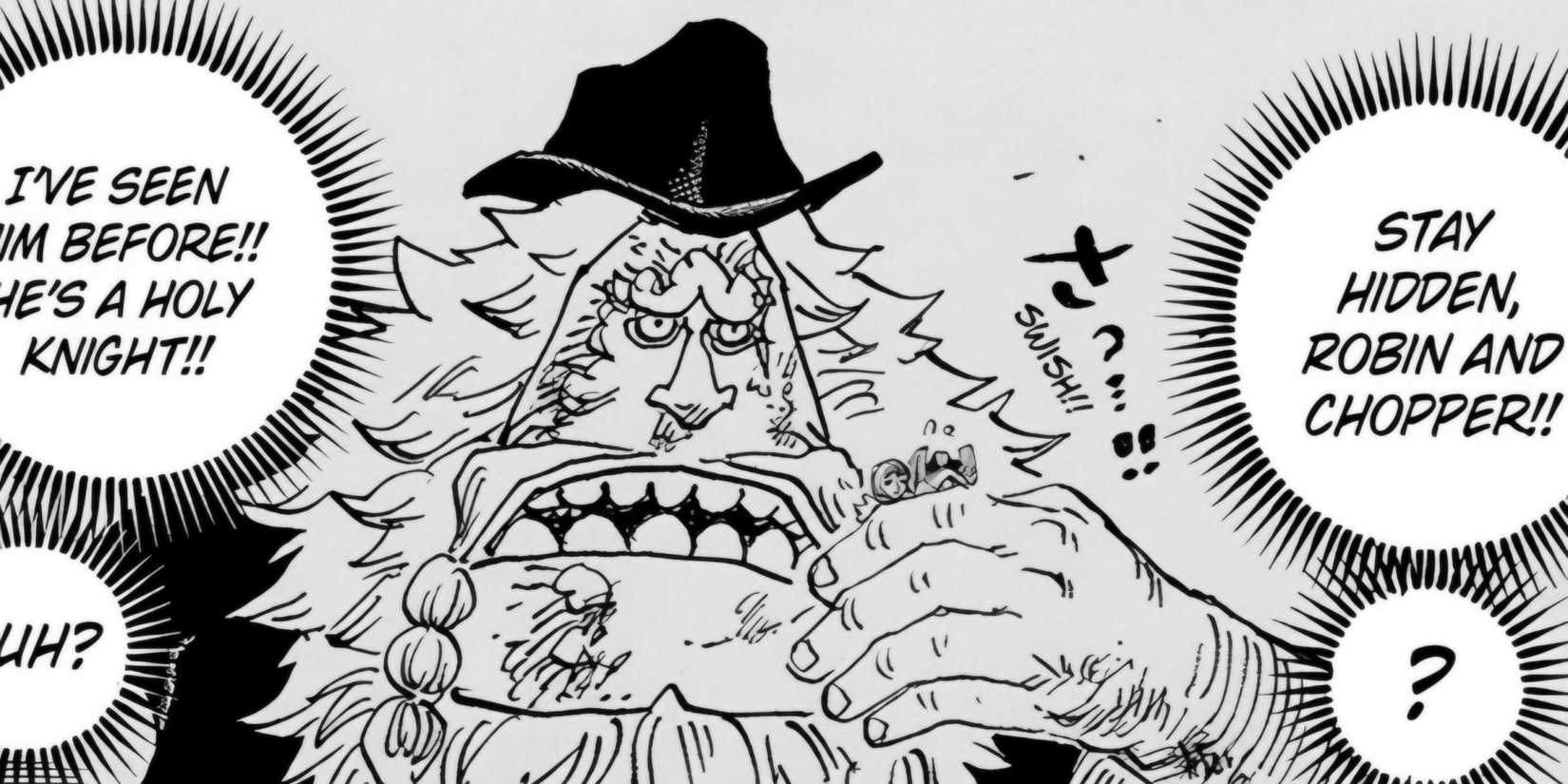 robin one piece 1148