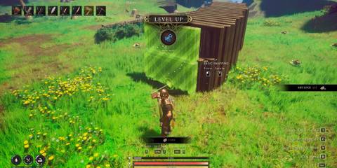 Runescape Dragonwilds Construction skill farming